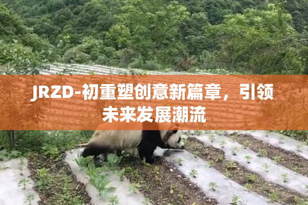 JRZD-初重塑创意新篇章，引领未来发展潮流