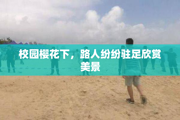校园樱花下，路人纷纷驻足欣赏美景