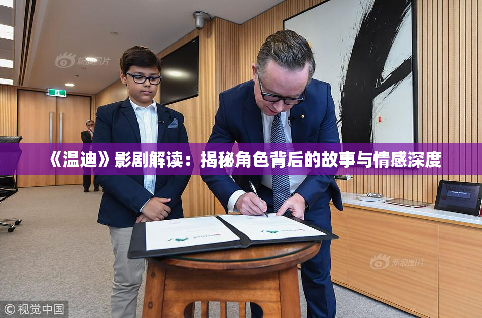 《温迪》影剧解读：揭秘角色背后的故事与情感深度