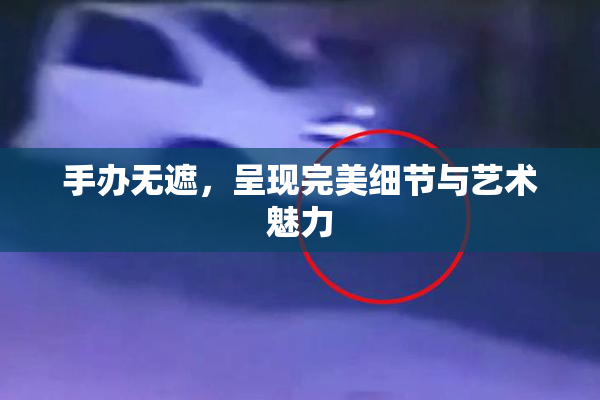 手办无遮，呈现完美细节与艺术魅力