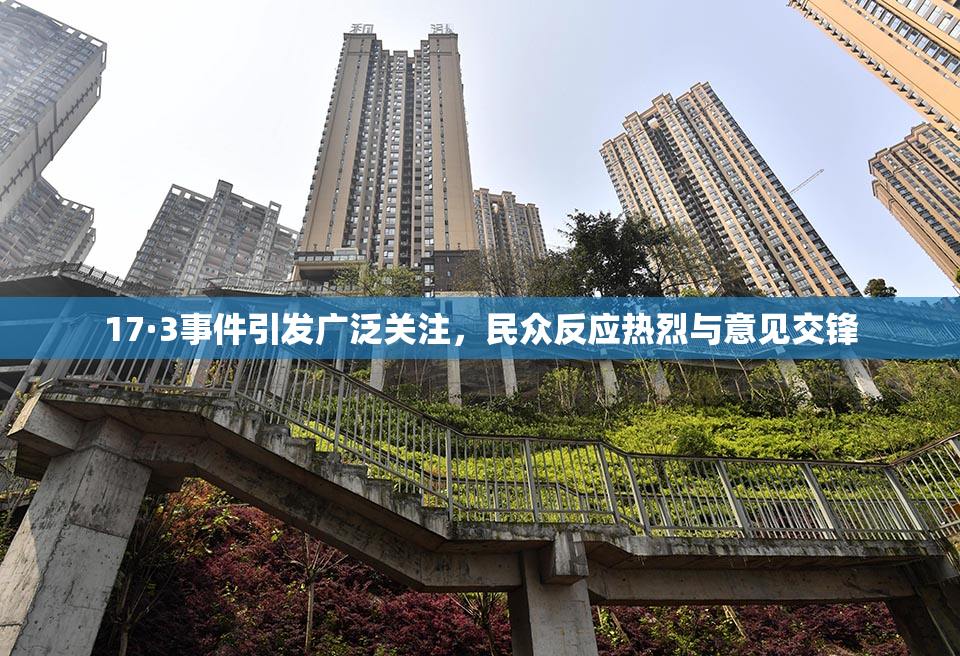 17·3事件引发广泛关注，民众反应热烈与意见交锋