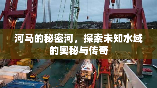 河马的秘密河，探索未知水域的奥秘与传奇