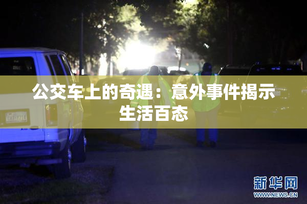 公交车上的奇遇：意外事件揭示生活百态