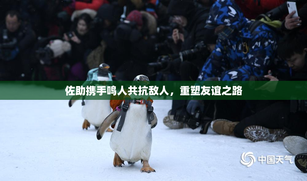 佐助携手鸣人共抗敌人，重塑友谊之路