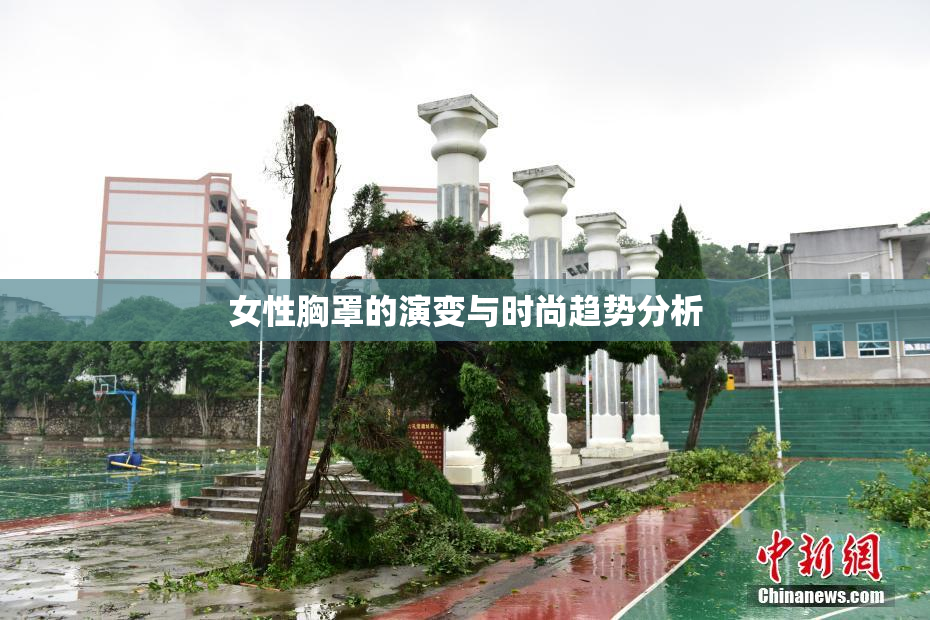 女性胸罩的演变与时尚趋势分析