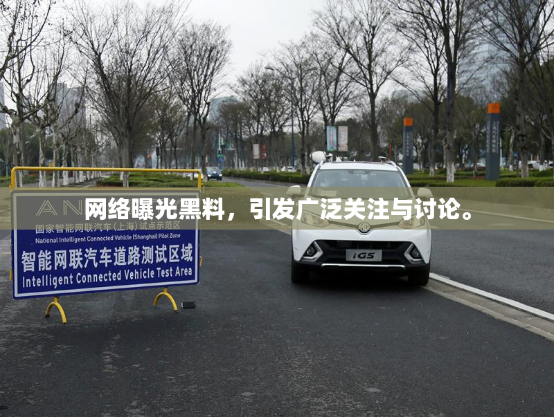 网络曝光黑料，引发广泛关注与讨论。
