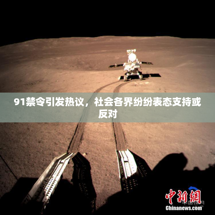 91禁令引发热议，社会各界纷纷表态支持或反对