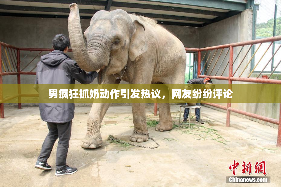 男疯狂抓奶动作引发热议，网友纷纷评论