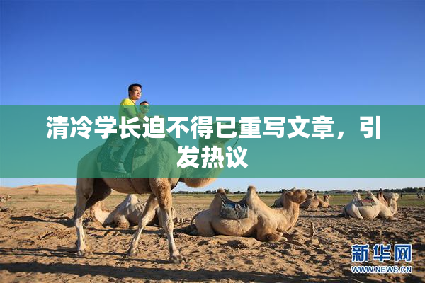 清冷学长迫不得已重写文章，引发热议