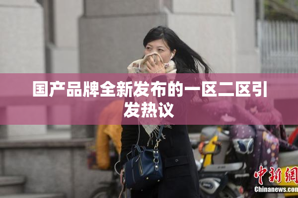 国产品牌全新发布的一区二区引发热议