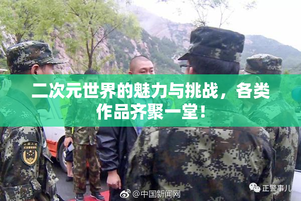 二次元世界的魅力与挑战，各类作品齐聚一堂！