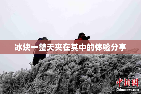 冰块一整天夹在其中的体验分享