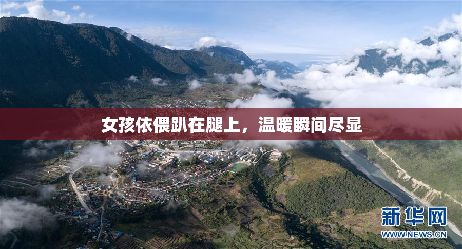 女孩依偎趴在腿上，温暖瞬间尽显