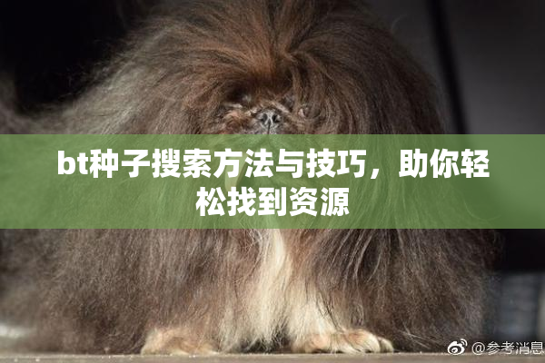bt种子搜索方法与技巧，助你轻松找到资源