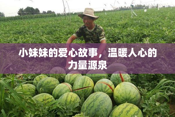 小妹妹的爱心故事，温暖人心的力量源泉