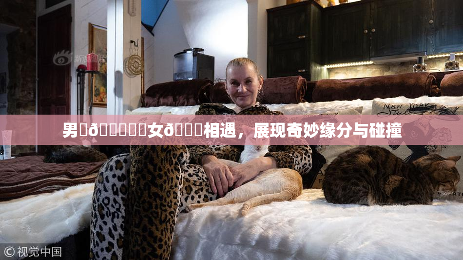 男‌🍌❌‌女🍑相遇，展现奇妙缘分与碰撞