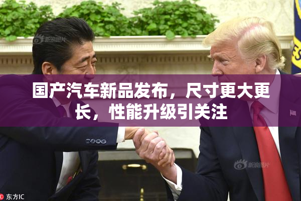 国产汽车新品发布，尺寸更大更长，性能升级引关注