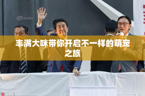 丰满大咪带你开启不一样的萌宠之旅