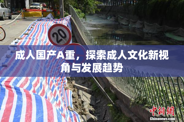 成人国产A重，探索成人文化新视角与发展趋势