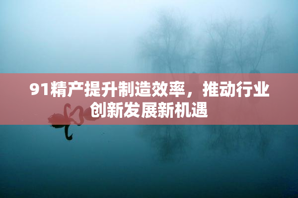 91精产提升制造效率，推动行业创新发展新机遇