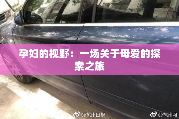孕妇的视野：一场关于母爱的探索之旅
