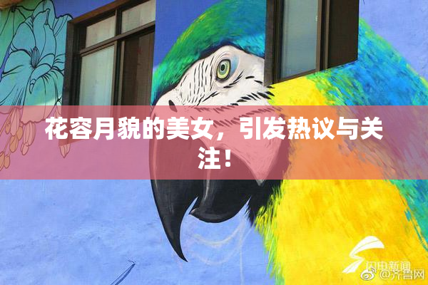 花容月貌的美女，引发热议与关注！