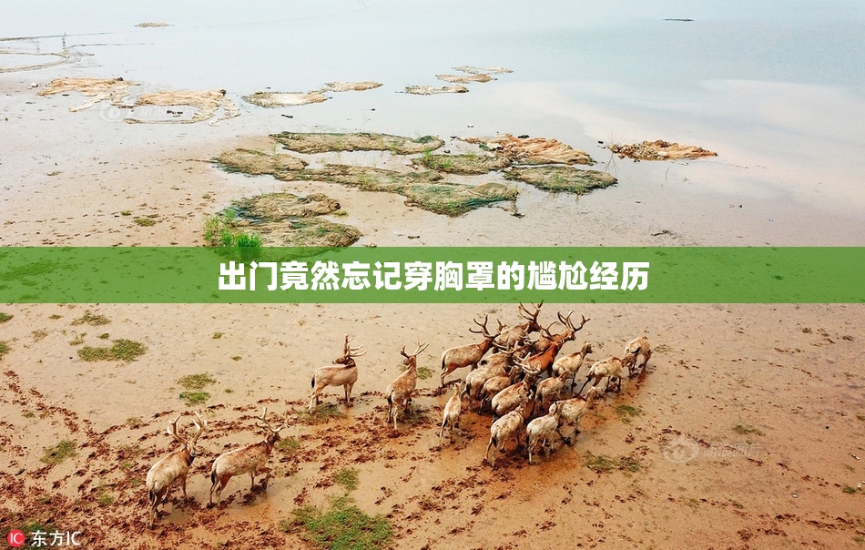 出门竟然忘记穿胸罩的尴尬经历