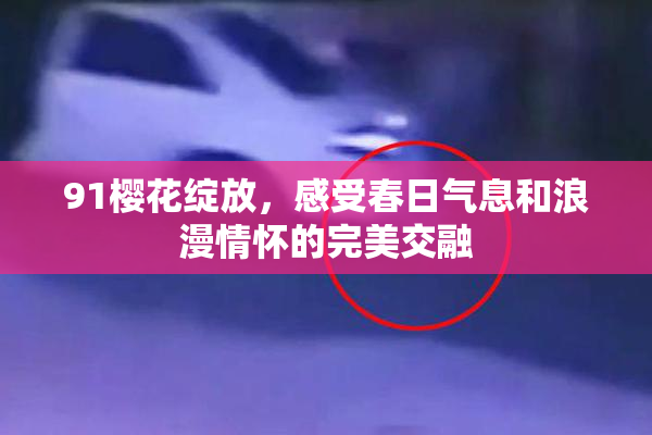 91樱花绽放，感受春日气息和浪漫情怀的完美交融