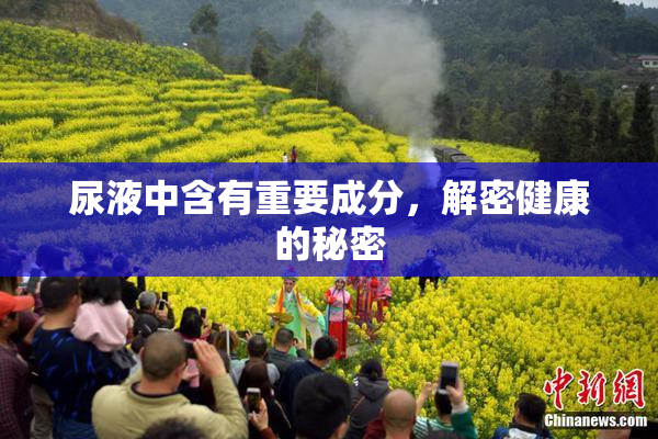 尿液中含有重要成分，解密健康的秘密