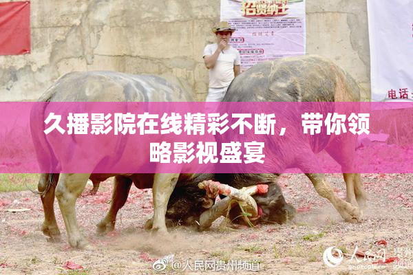 久播影院在线精彩不断，带你领略影视盛宴