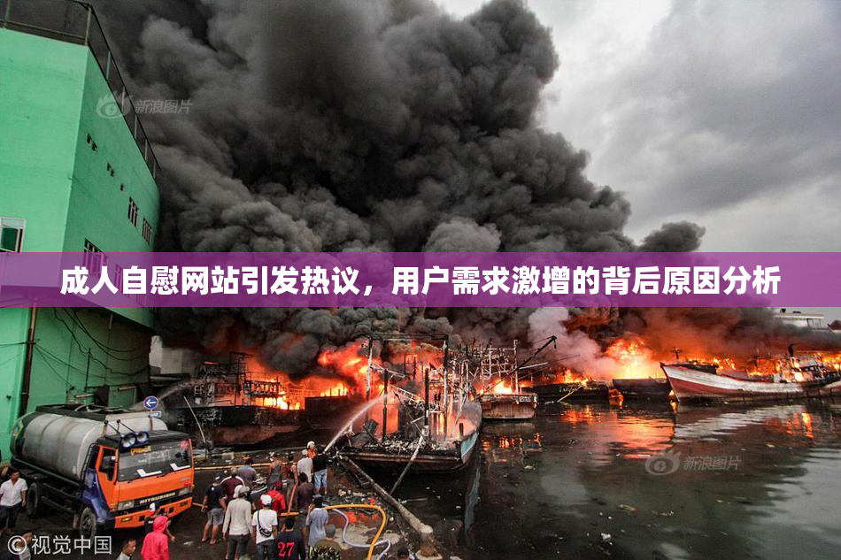 成人自慰网站引发热议，用户需求激增的背后原因分析
