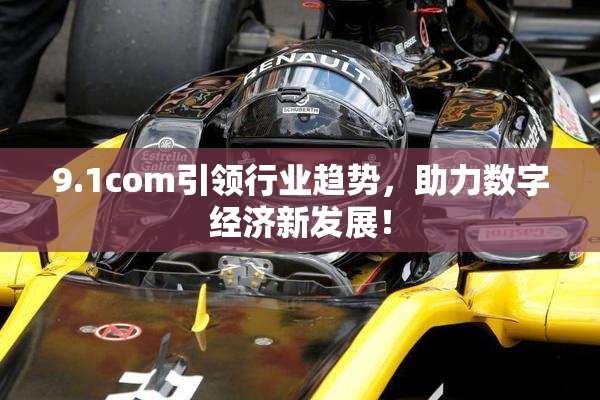 9.1com引领行业趋势，助力数字经济新发展！