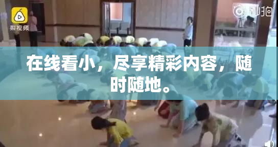 在线看小，尽享精彩内容，随时随地。