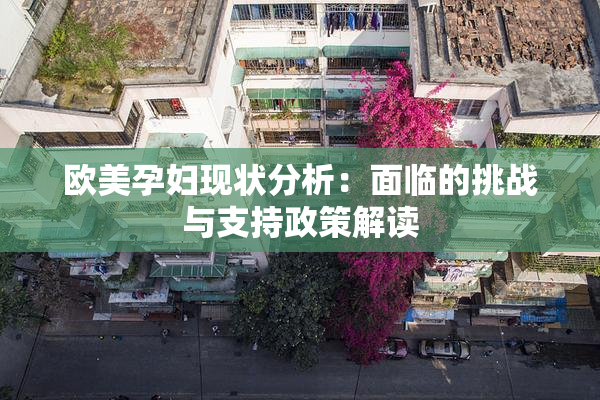 欧美孕妇现状分析：面临的挑战与支持政策解读