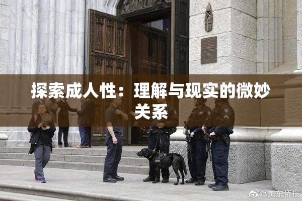 探索成人性：理解与现实的微妙关系