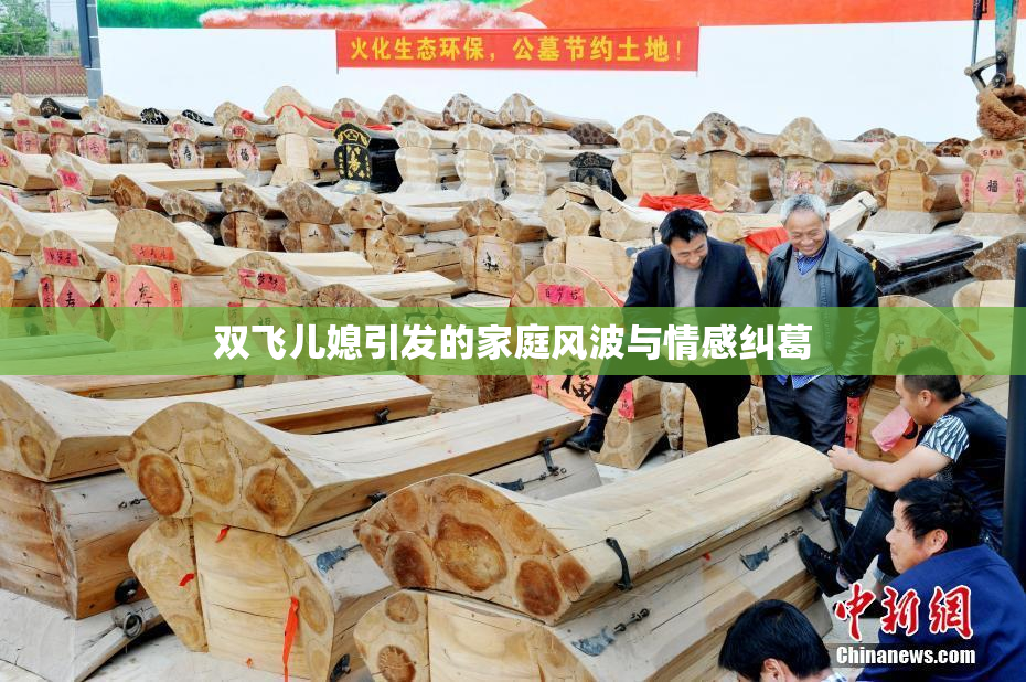 双飞儿媳引发的家庭风波与情感纠葛