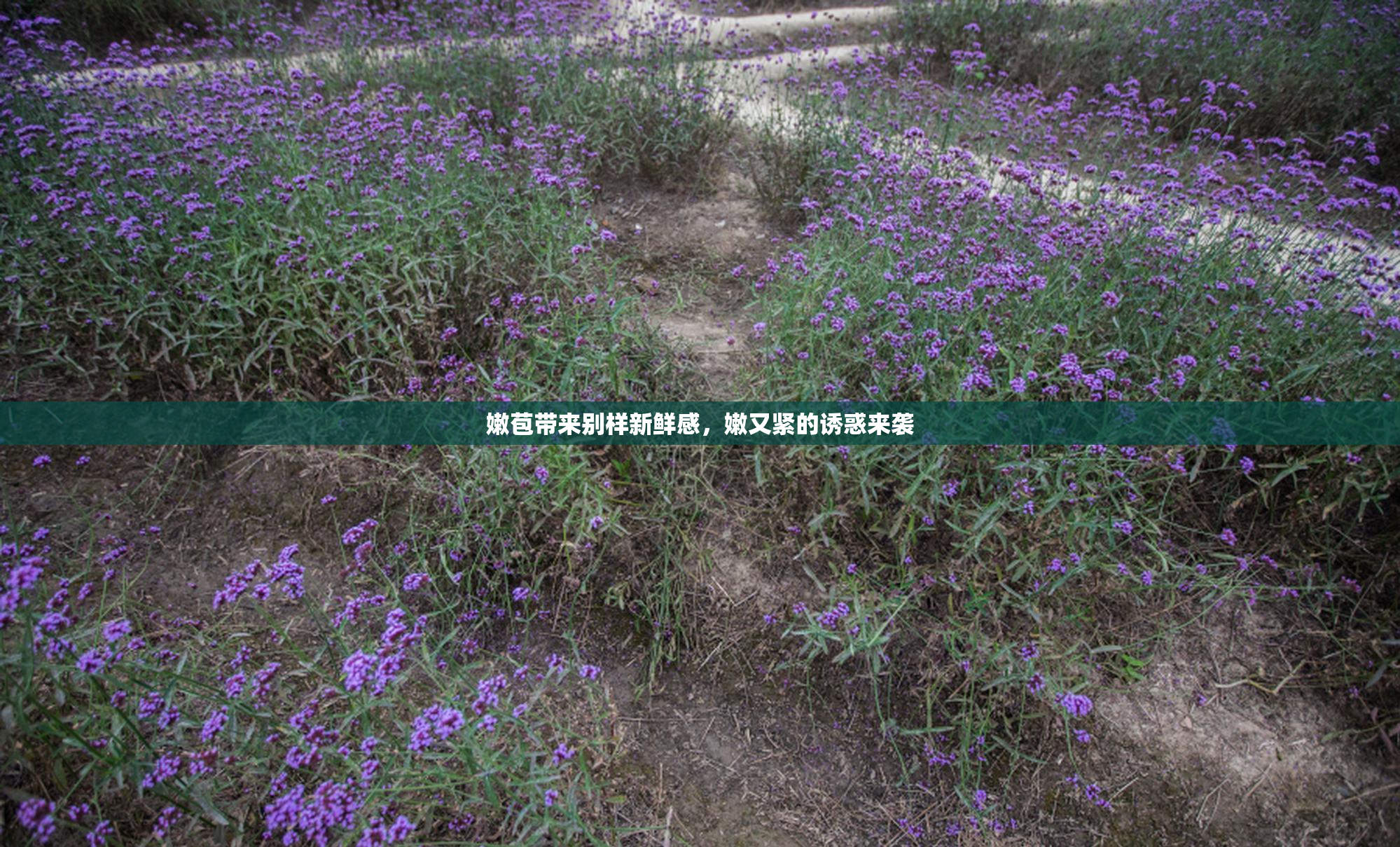 嫩苞带来别样新鲜感，嫩又紧的诱惑来袭