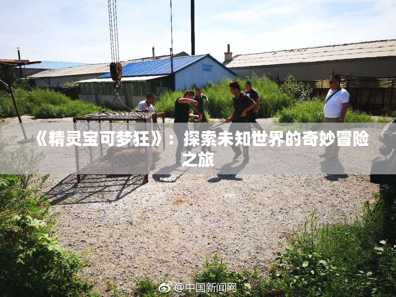 《精灵宝可梦狂》：探索未知世界的奇妙冒险之旅