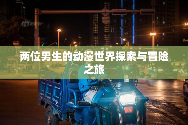 两位男生的动漫世界探索与冒险之旅