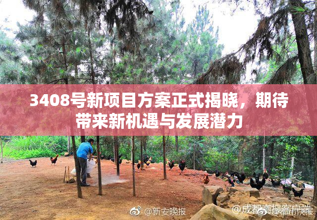 3408号新项目方案正式揭晓，期待带来新机遇与发展潜力