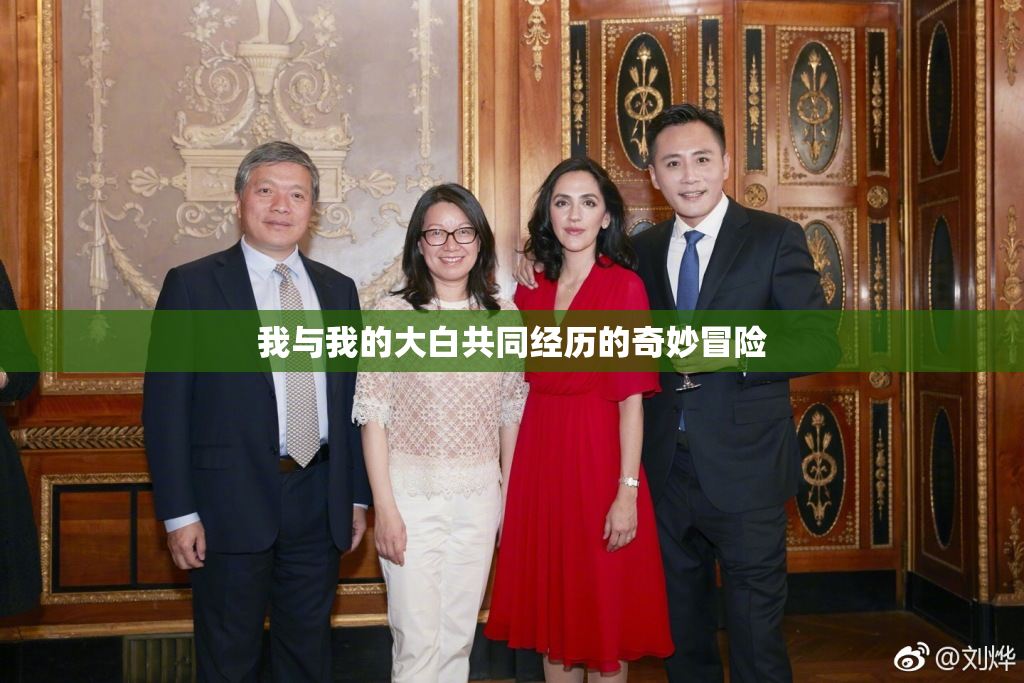 我与我的大白共同经历的奇妙冒险