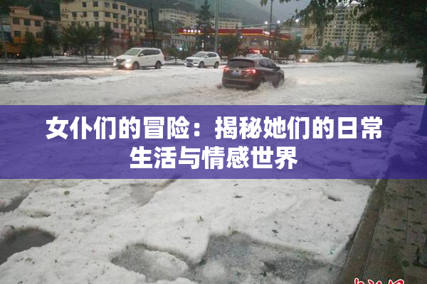 女仆们的冒险：揭秘她们的日常生活与情感世界