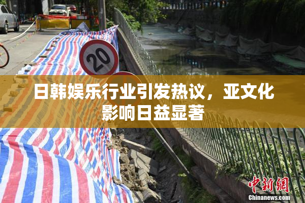 日韩娱乐行业引发热议，亚文化影响日益显著