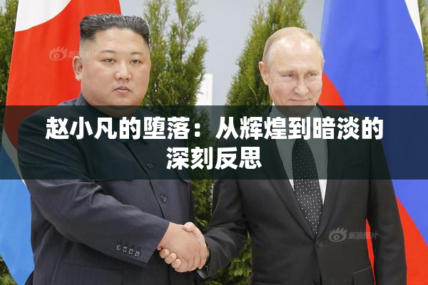 赵小凡的堕落：从辉煌到暗淡的深刻反思