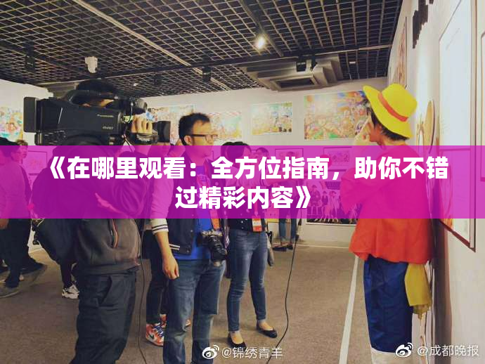 《在哪里观看：全方位指南，助你不错过精彩内容》