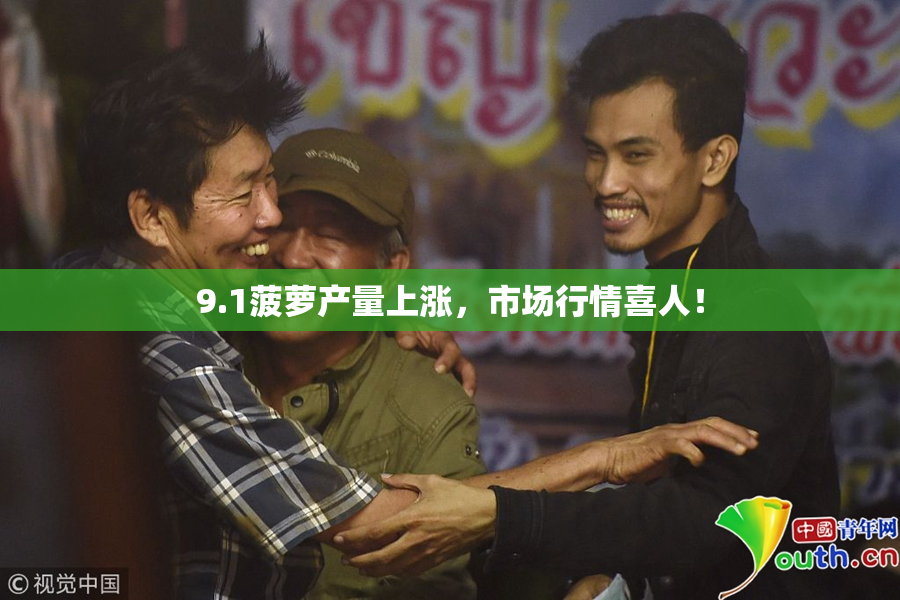 9.1菠萝产量上涨，市场行情喜人！