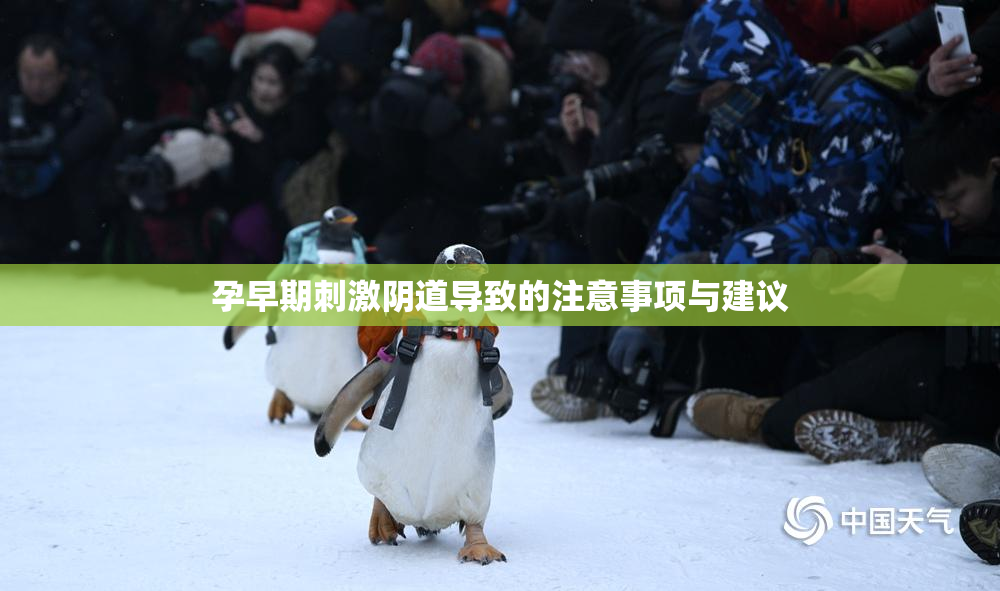 孕早期刺激阴道导致的注意事项与建议