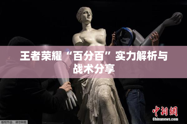 王者荣耀“百分百”实力解析与战术分享