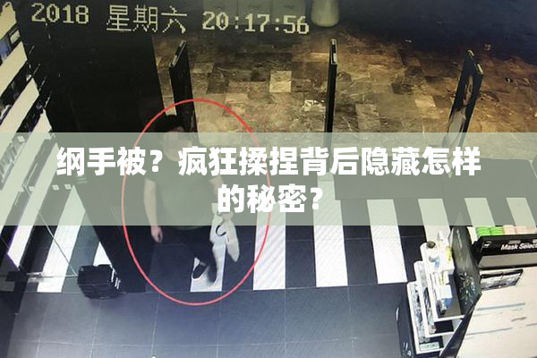 纲手被？疯狂揉捏背后隐藏怎样的秘密？