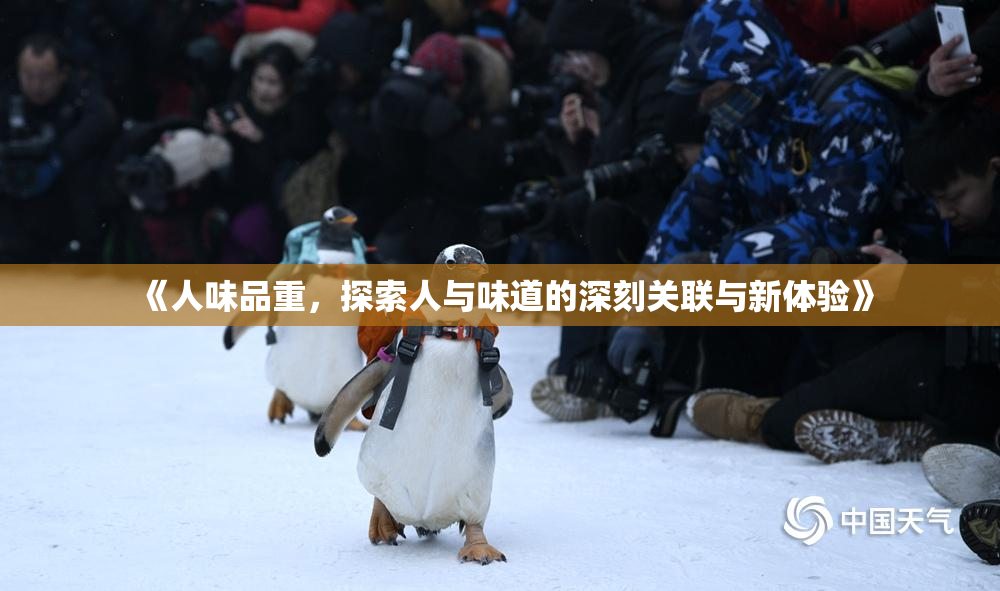 《人味品重，探索人与味道的深刻关联与新体验》